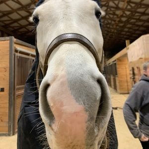 Meet your Posher, Abbie